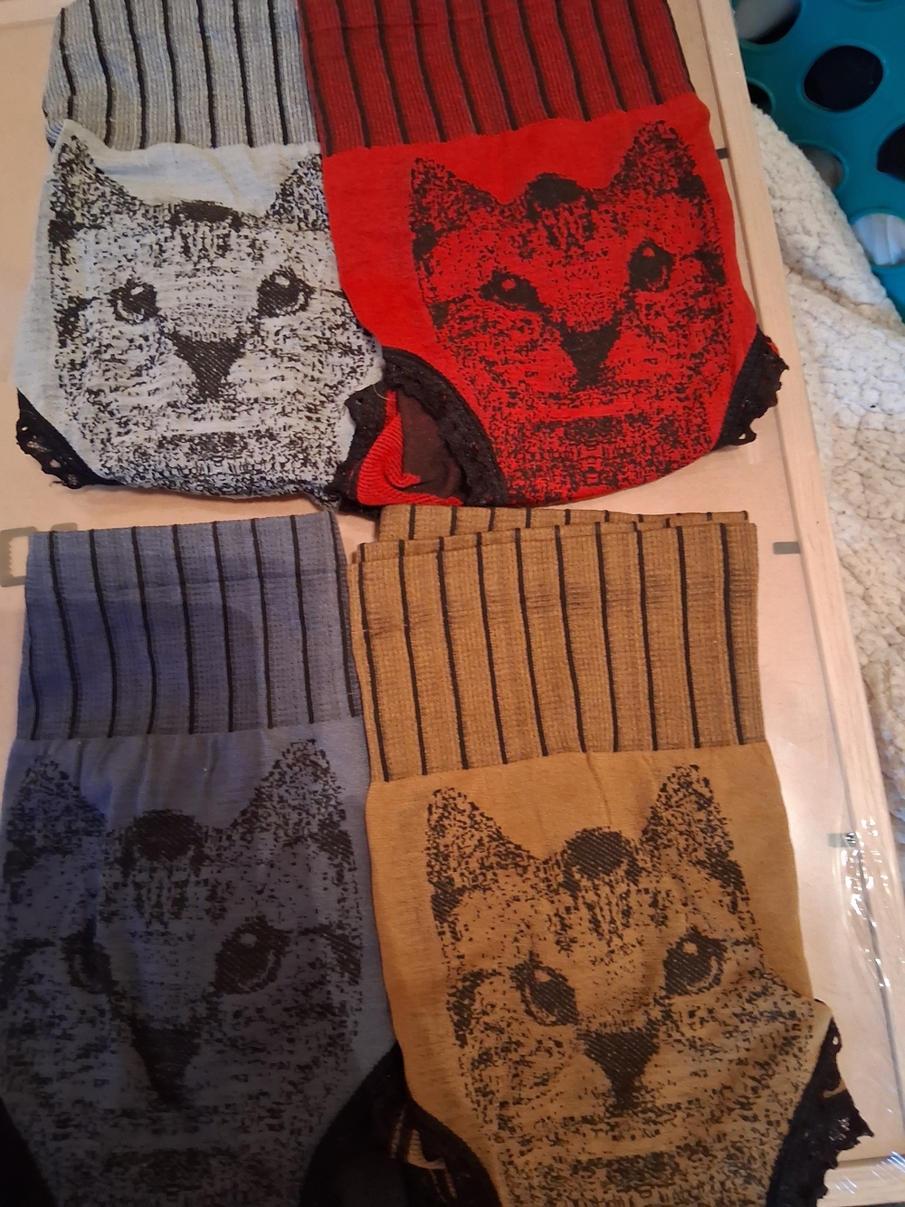 4 New, Never Worn Women's Briefs/Underwear, Size Large.
